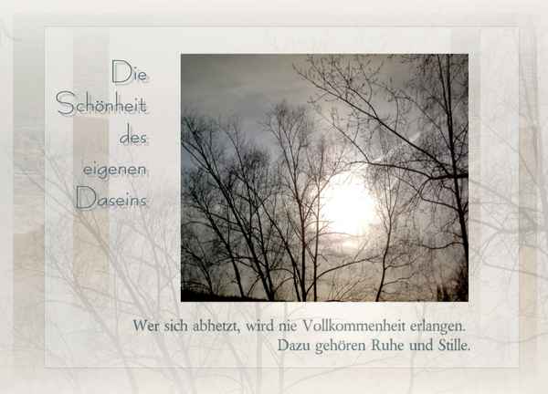 Die Schönheit des eigenen Daseins