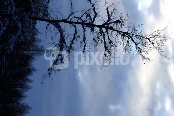 Winterstimmung
