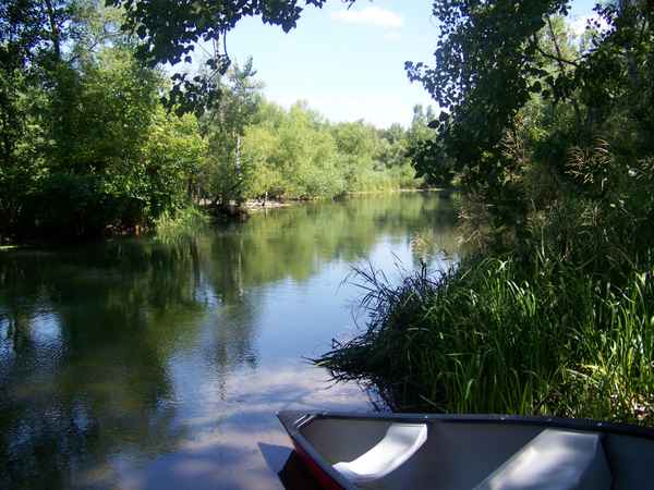 Kanutour-Taubergießen