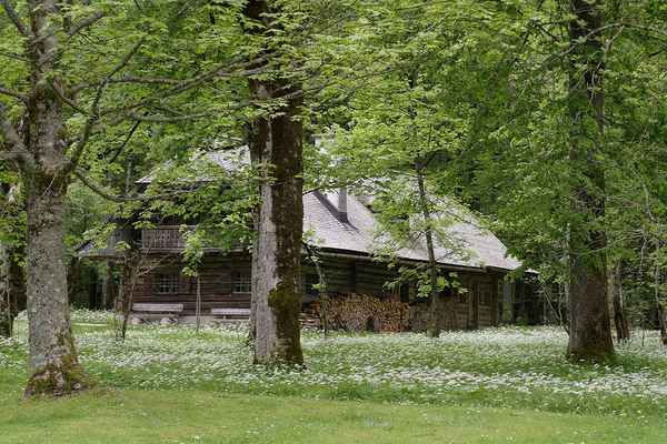 Das Haus im Wald