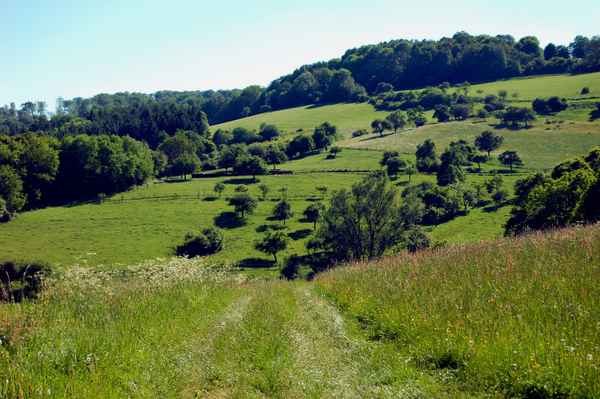 Obstwiesen im Lahn-Dill-Kreis, Mittelhessen