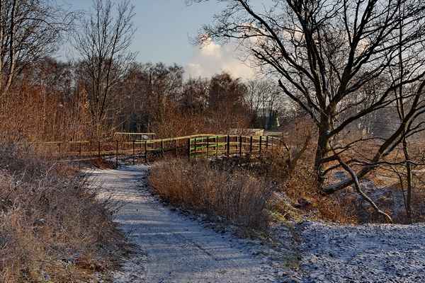 Winter im Broichbachtal 07