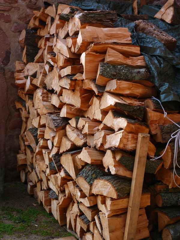 Der nächste Winter kommt - bestimmt ..