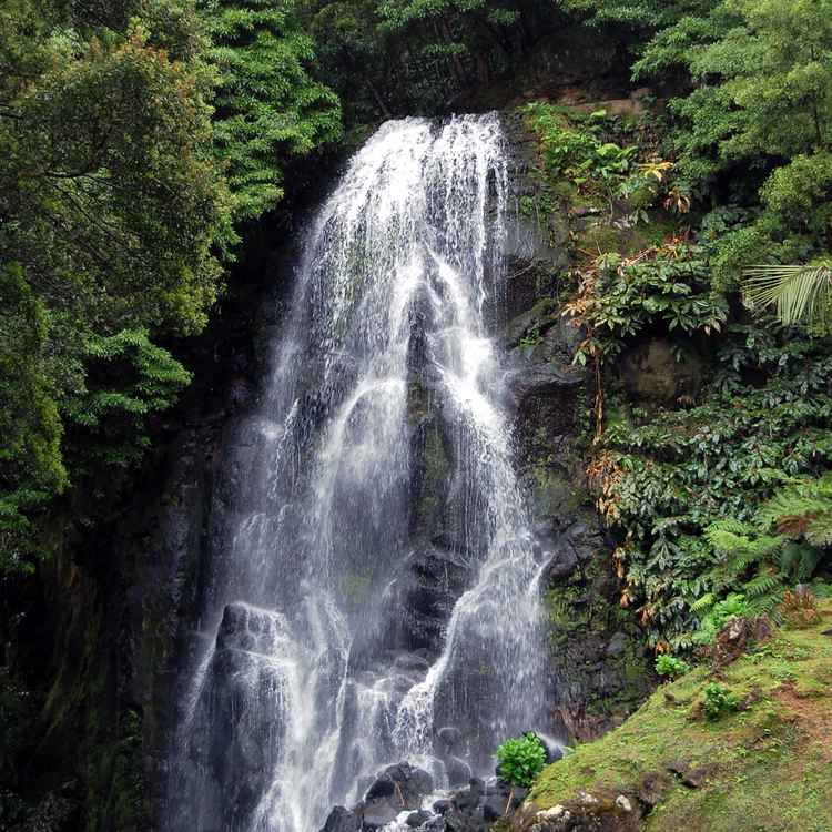 Parque Natural Da Ribeira dor Caldeiroes