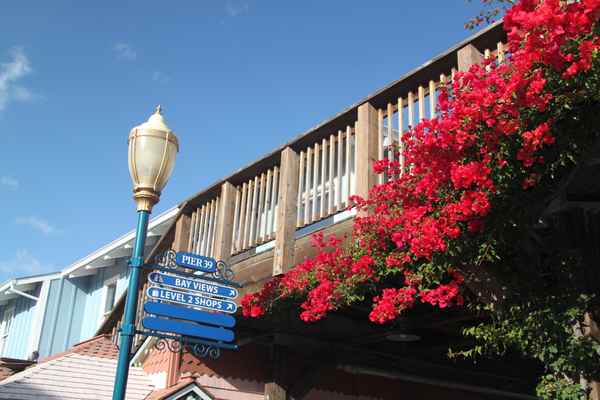 San Francisco, Pier 39 im Hafen
