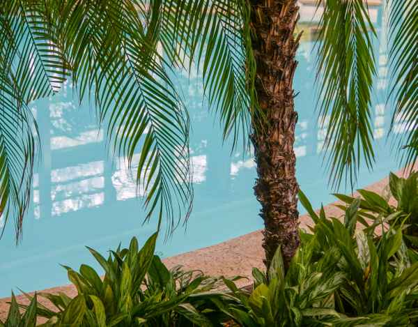 Indoor-Pool und Palmen 3