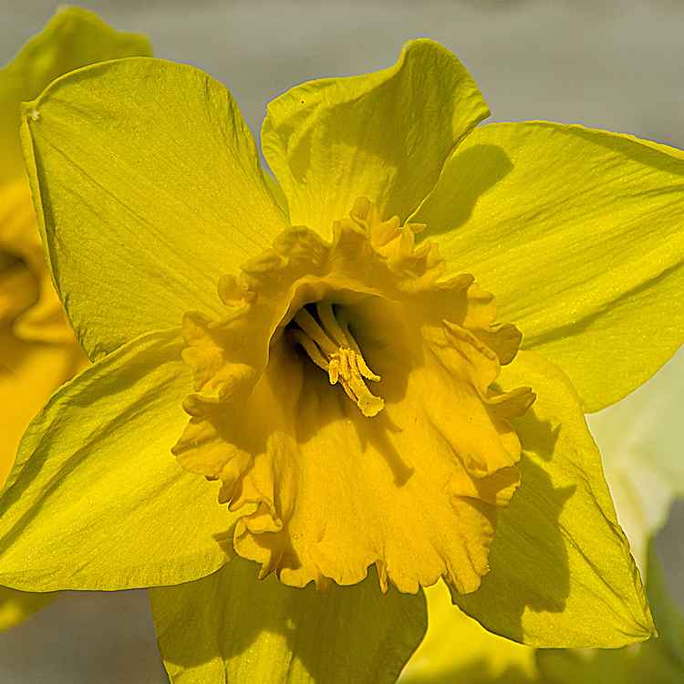Endlich Frühling