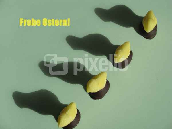 Frohe Ostern wünscht die  Fondantkükenparade