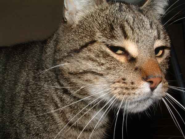 ...du nervst ! .....