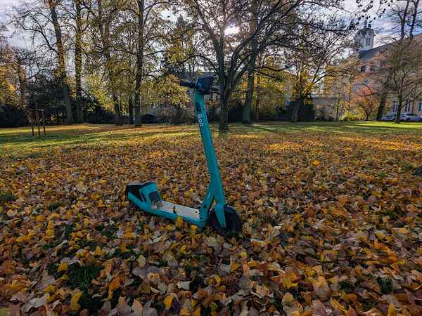 Parken im Park