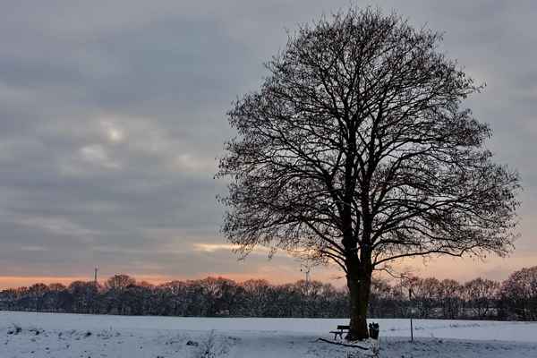 Winterimpressionen 07
