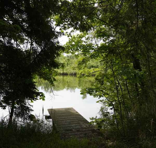 Weiher mit altem Badesteg