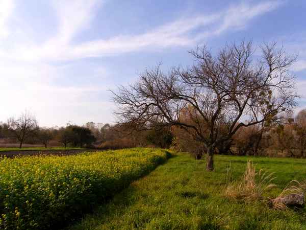 in der natur...1. november 2010
