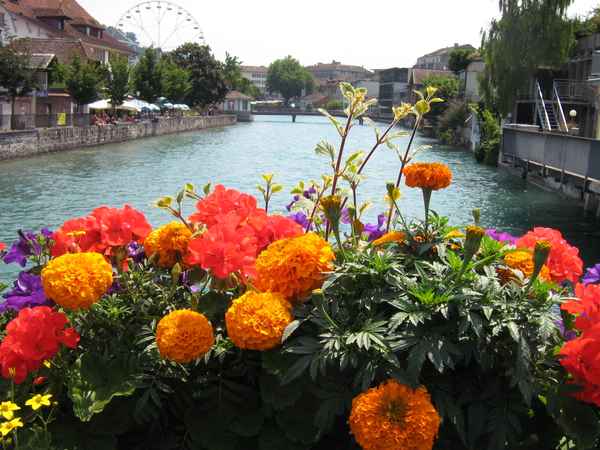Sommer in Thun