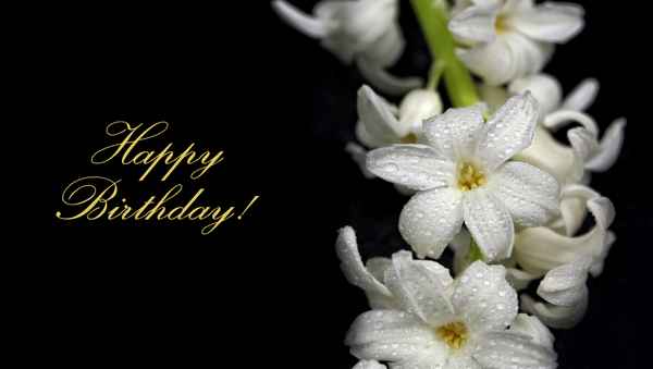 Happy Birthday!