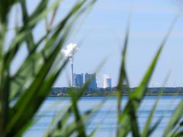 Nachwachsender Rohstoff