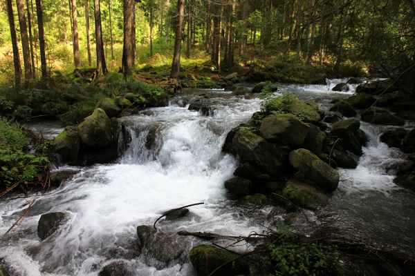 ÜBER STOCK UND STEIN I