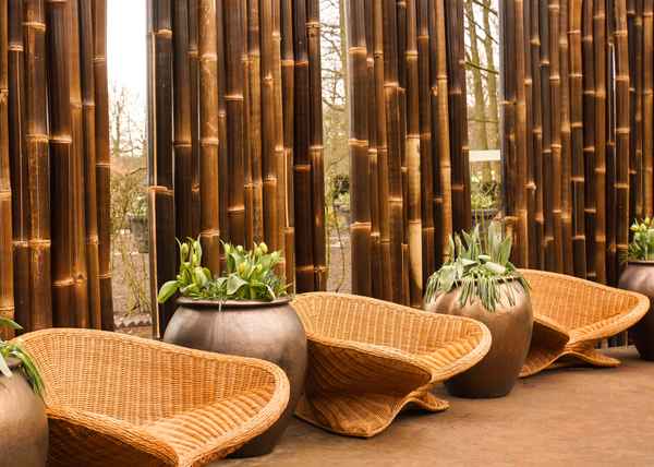 Garten-Wellness mit Bambus