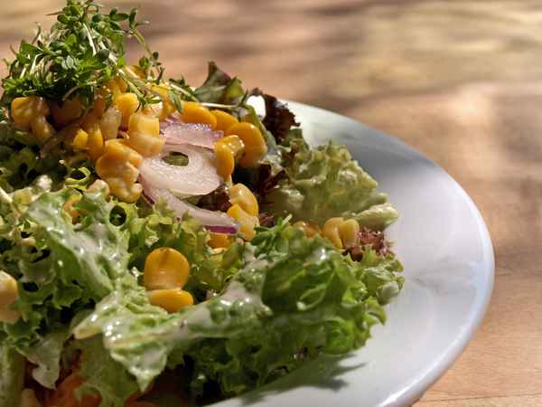 Immer gut - Salat