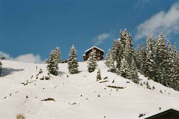 Winterlandschaft im Bregenzerwald  2