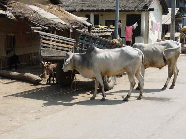 Nepalesische Dorfszene