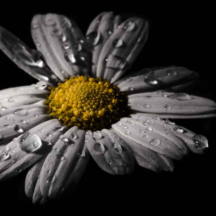 Im Regen