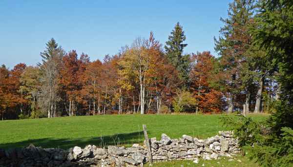 Herbst im Berner Jura