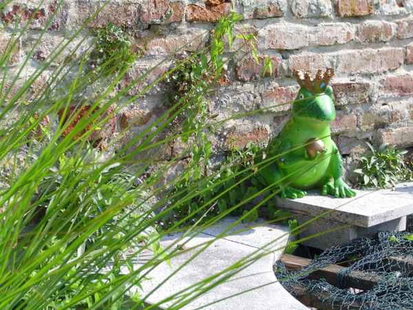 Froschkönig im Juli