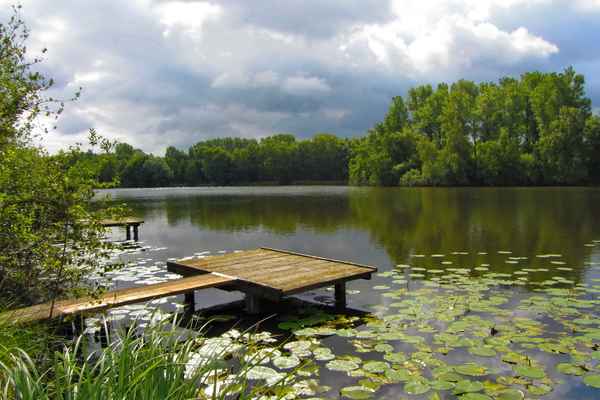 Am Steg