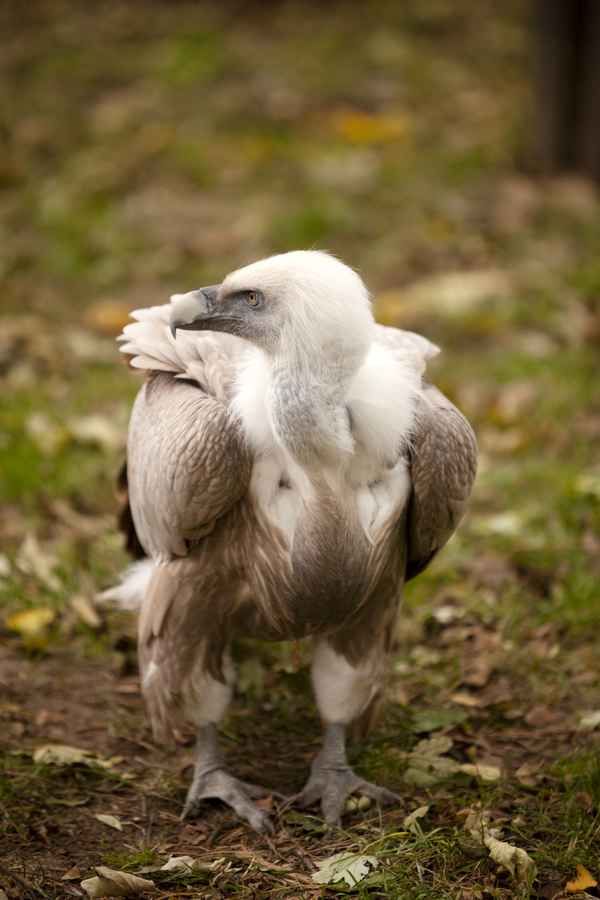 Kommt das wer von hinten?