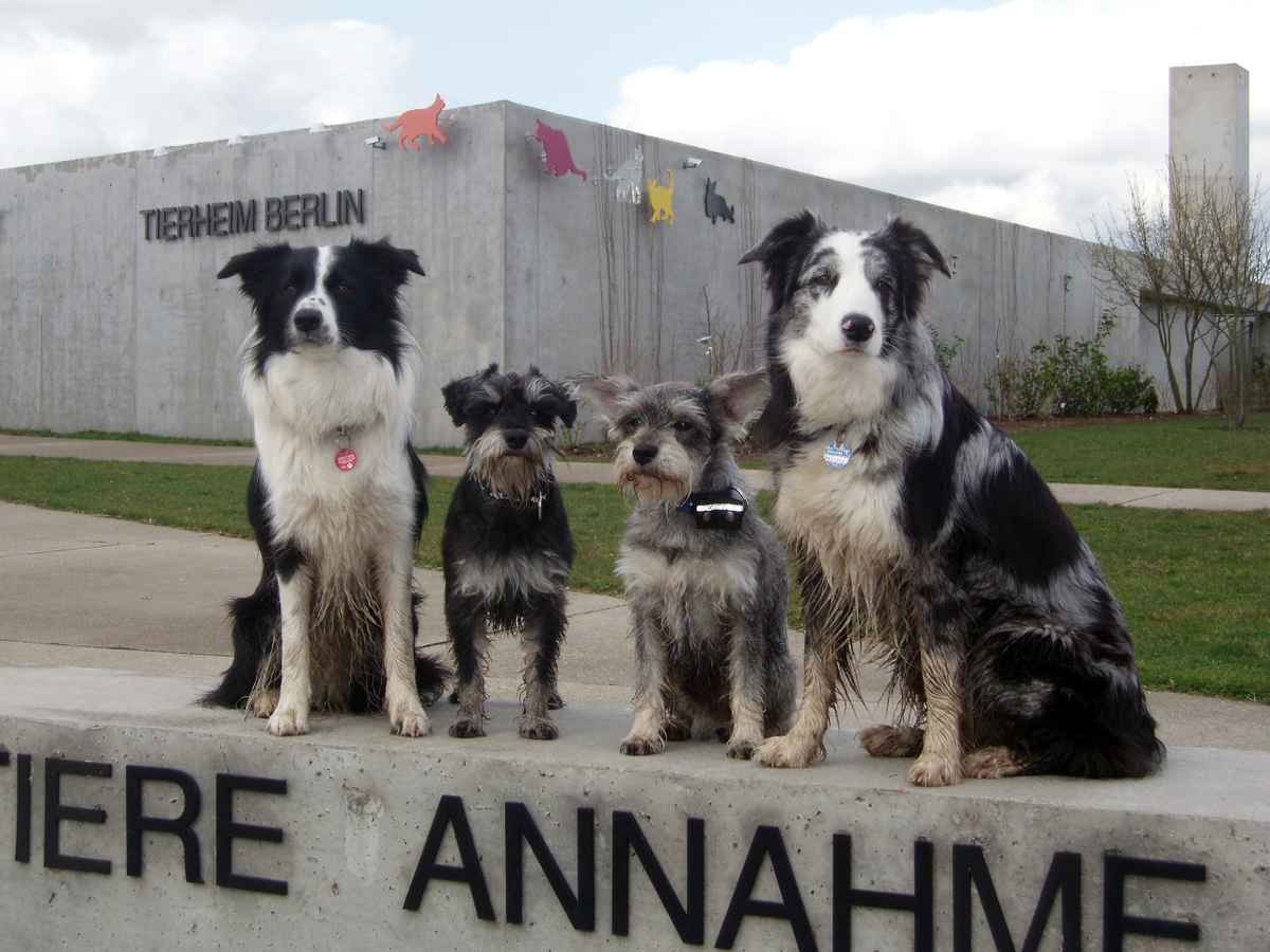 Kein Schwarz-Weiss-Foto