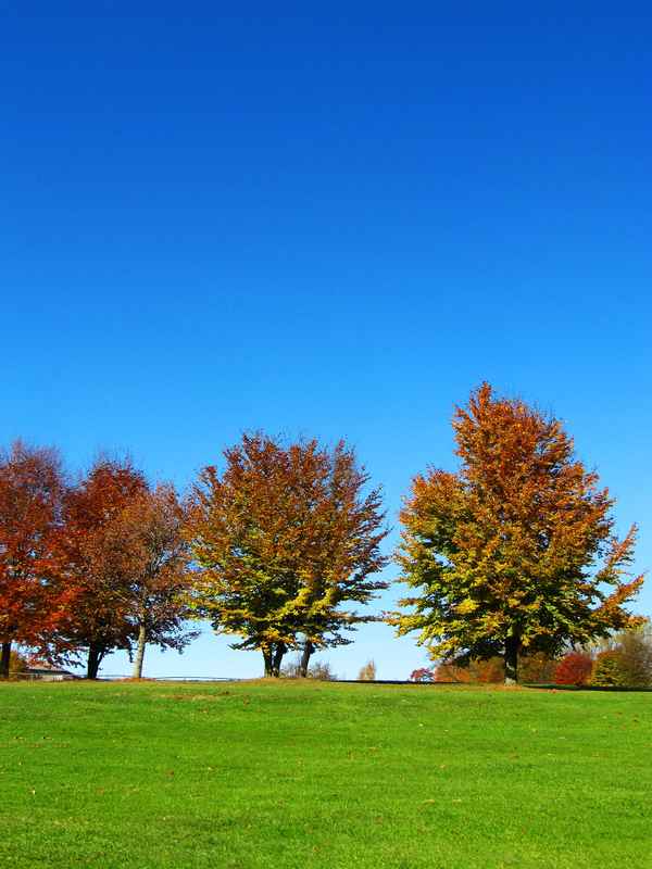 Klarer Herbsttag