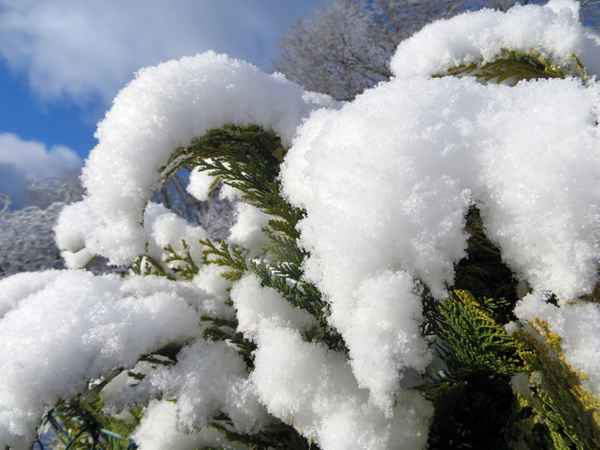  *WS* der Winter ist zurück