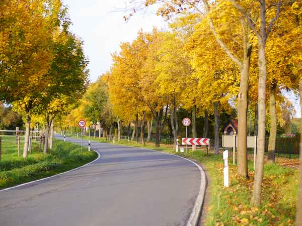 Landstraße im Herbst