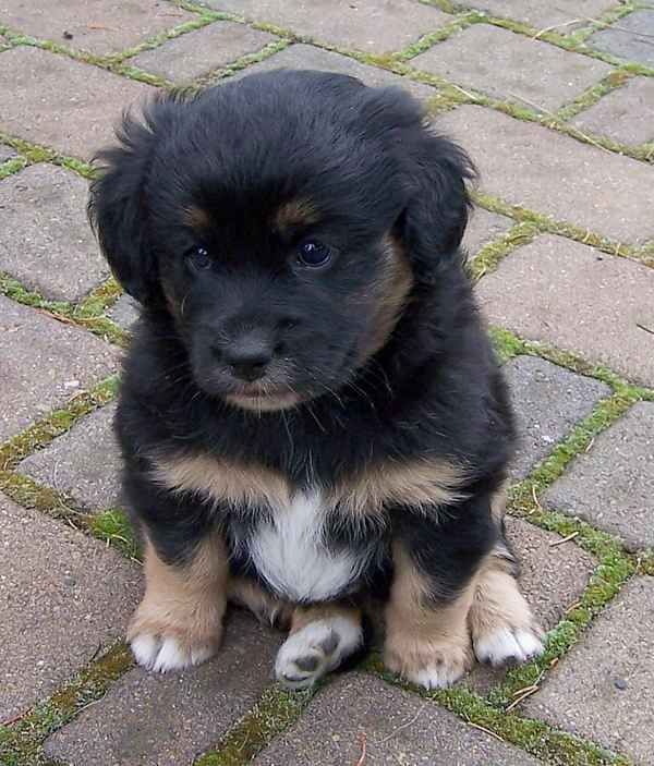 Max
