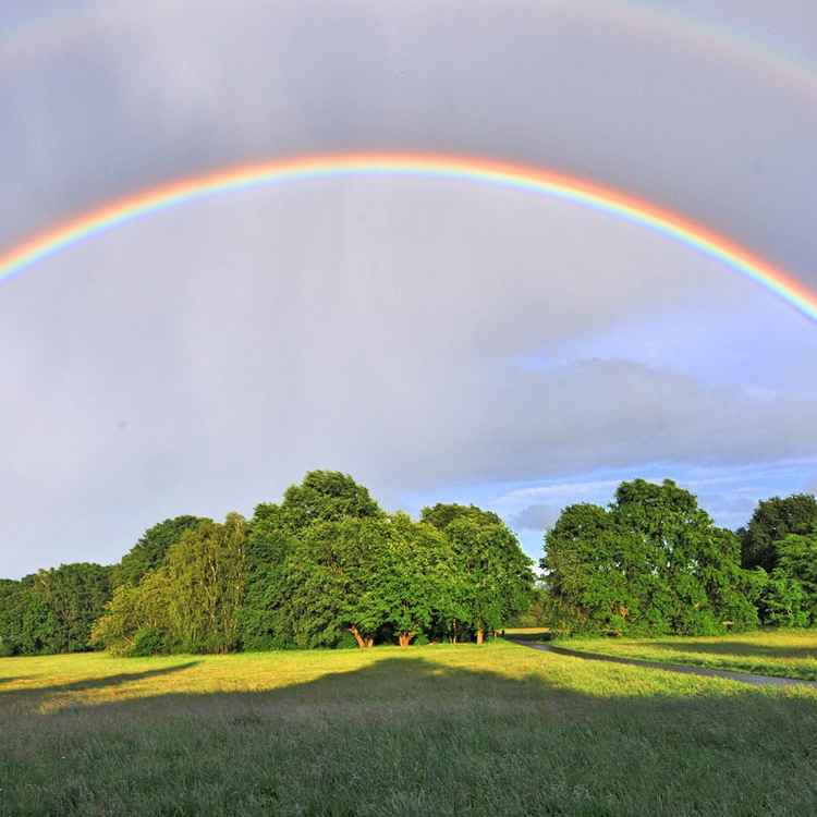 2xRegenbogen