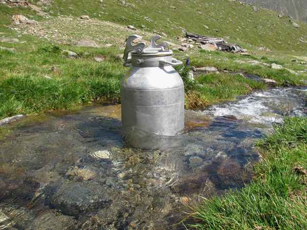 Milch - Wassergekühlt