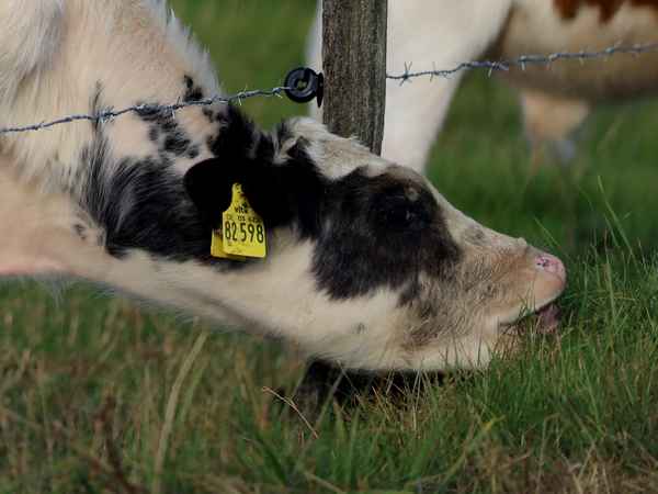 das schmeckt einfach besser