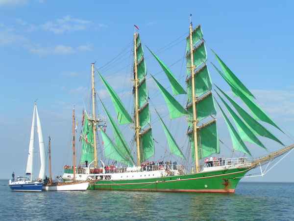 Alexander v. Humboldt