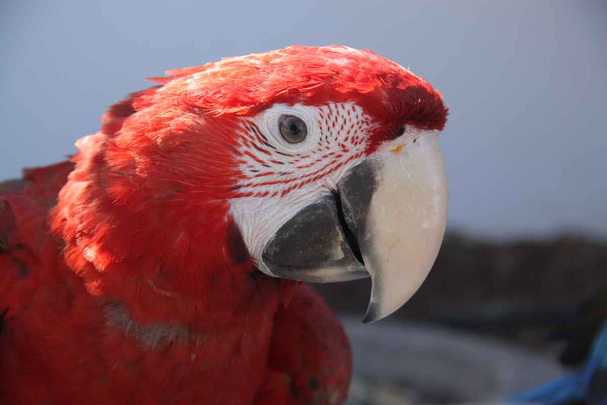 Wer schaut hier wem an?