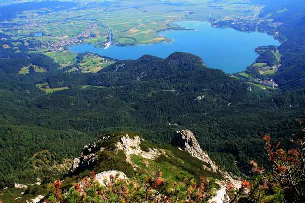 Blick auf den Kochelsee