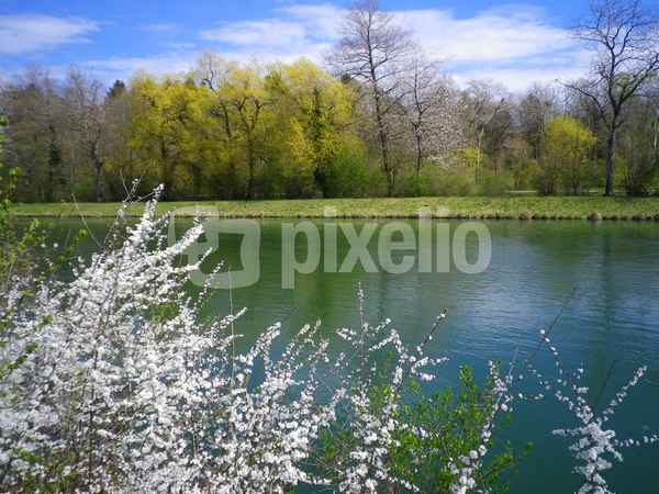 Frühlingsbeginn am Fluss