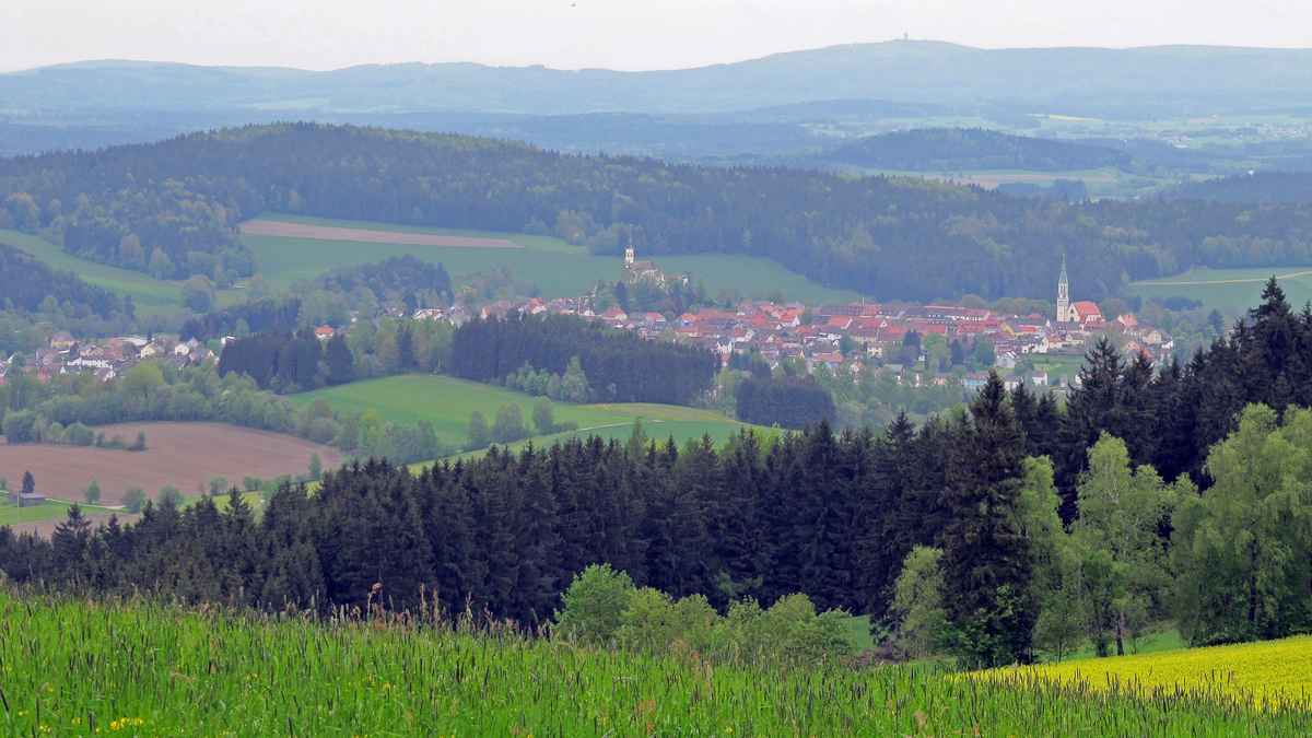 Blick nach Pleystein