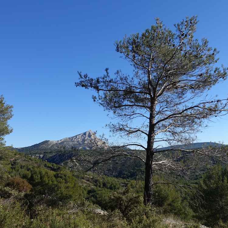 Bergkette St Victoire