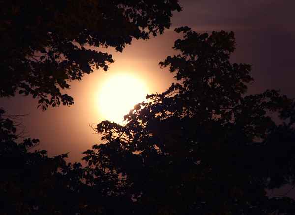 Dunkel war's, der Mond schien helle... II
