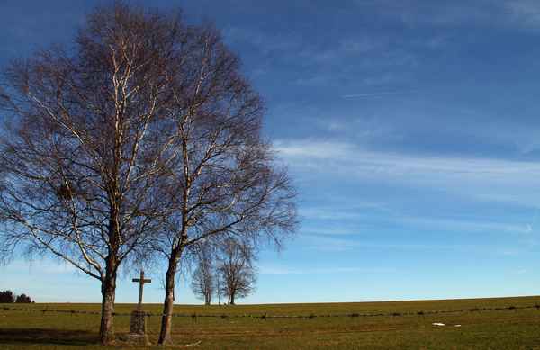 Leise kommt der Frühling 02