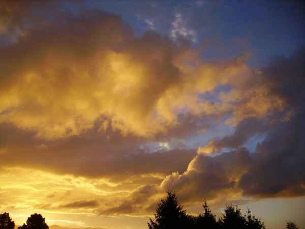 letztens im Urlaub, früh war das (ungefähr 4 oder 5 Uhr) in der Nähe von Potsdam^^