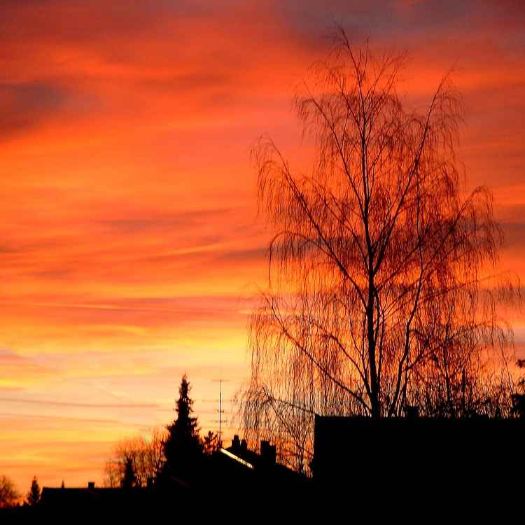 Abendstimmung 1