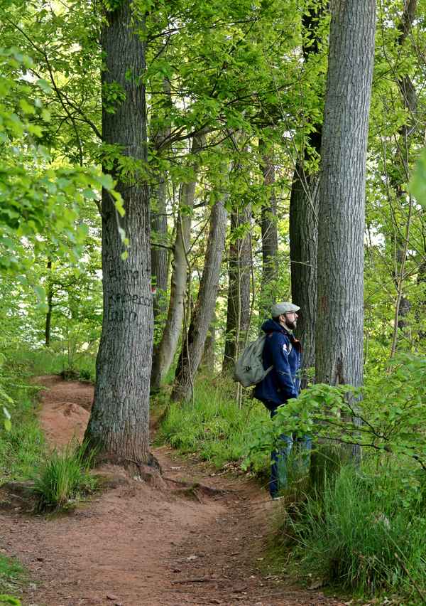 Wandertag im Trifelsland