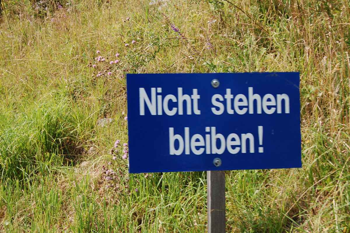 guter rat fürs leben